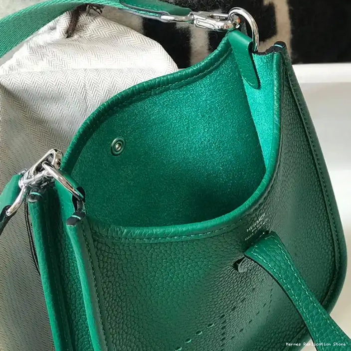 Affordable Palladium Green Hardware Evelyne Mini Bag In Leather Hermes Clemence 0223